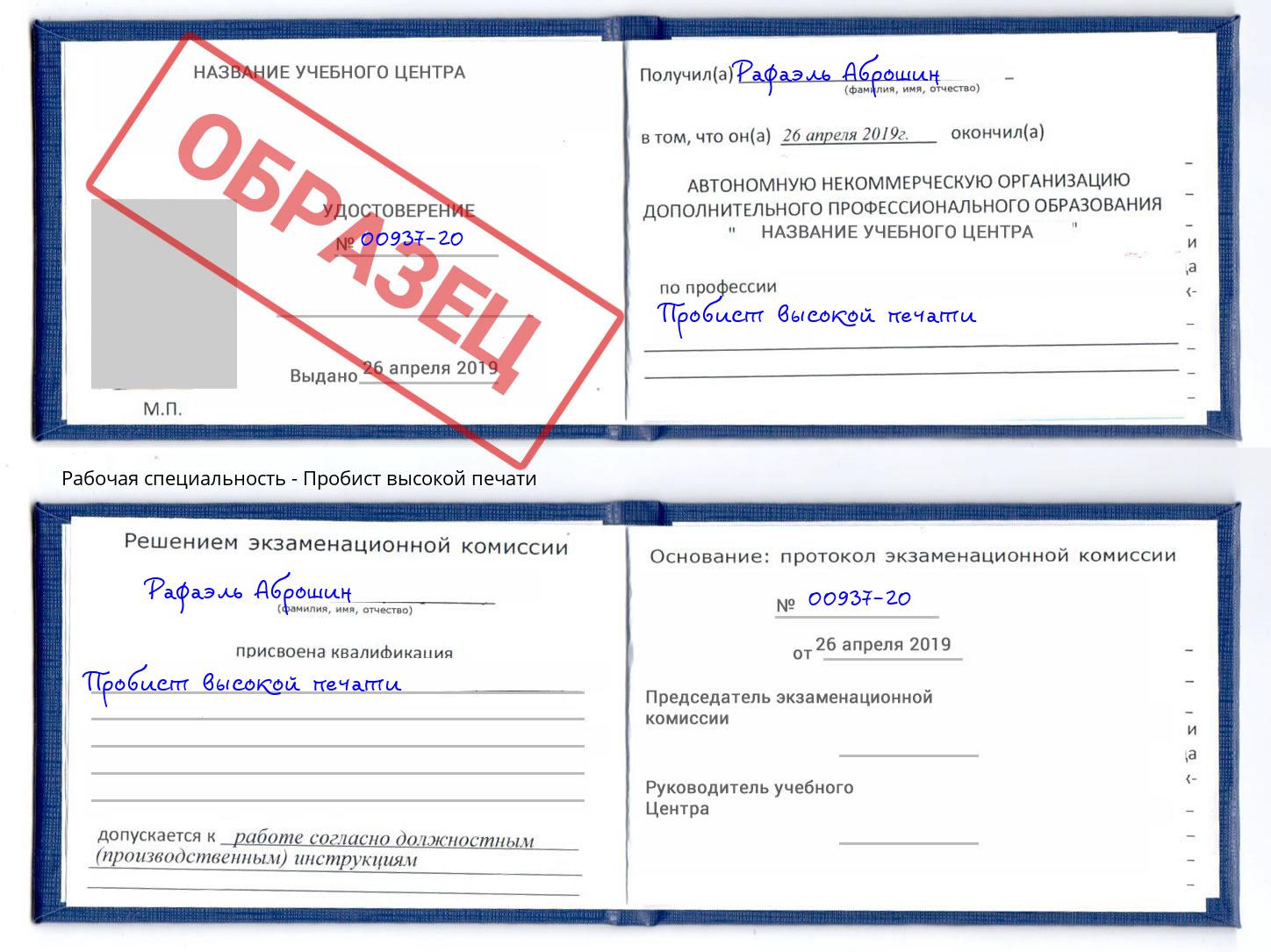 Пробист высокой печати Ноябрьск